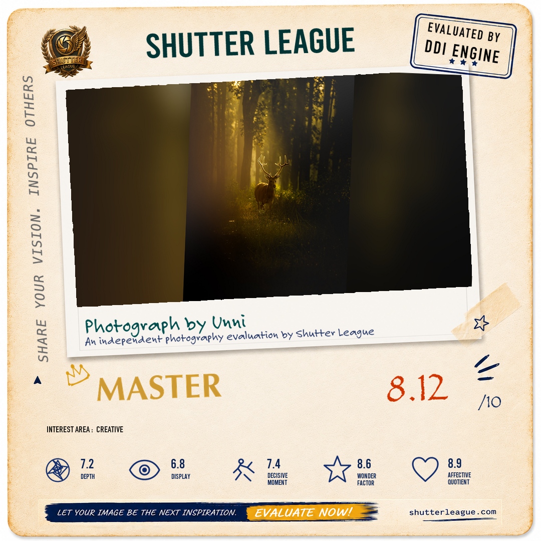 Shutter League evaluation card — Rim light