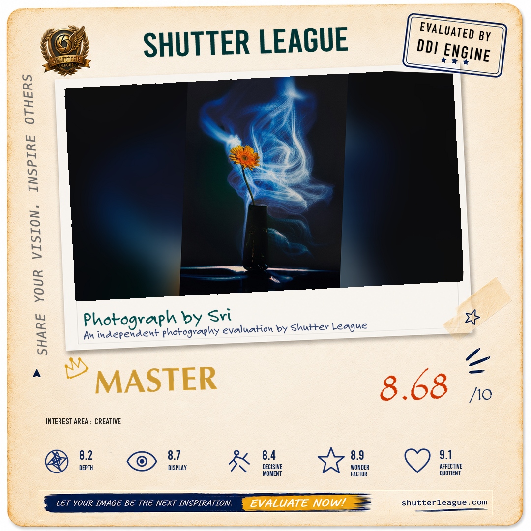 Shutter League evaluation card — The energy of the Jebra