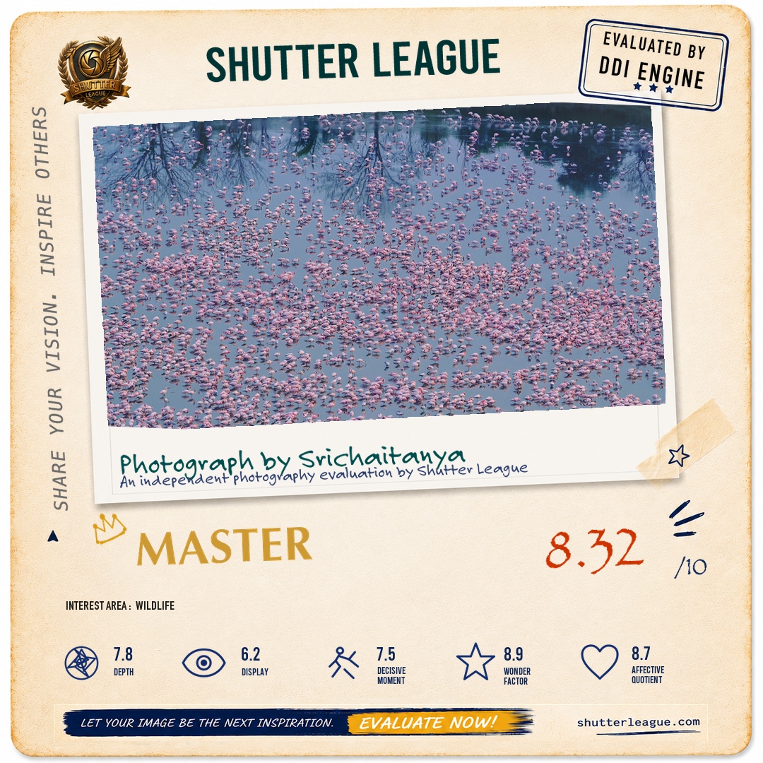 Shutter League evaluation card — flowers of the lake