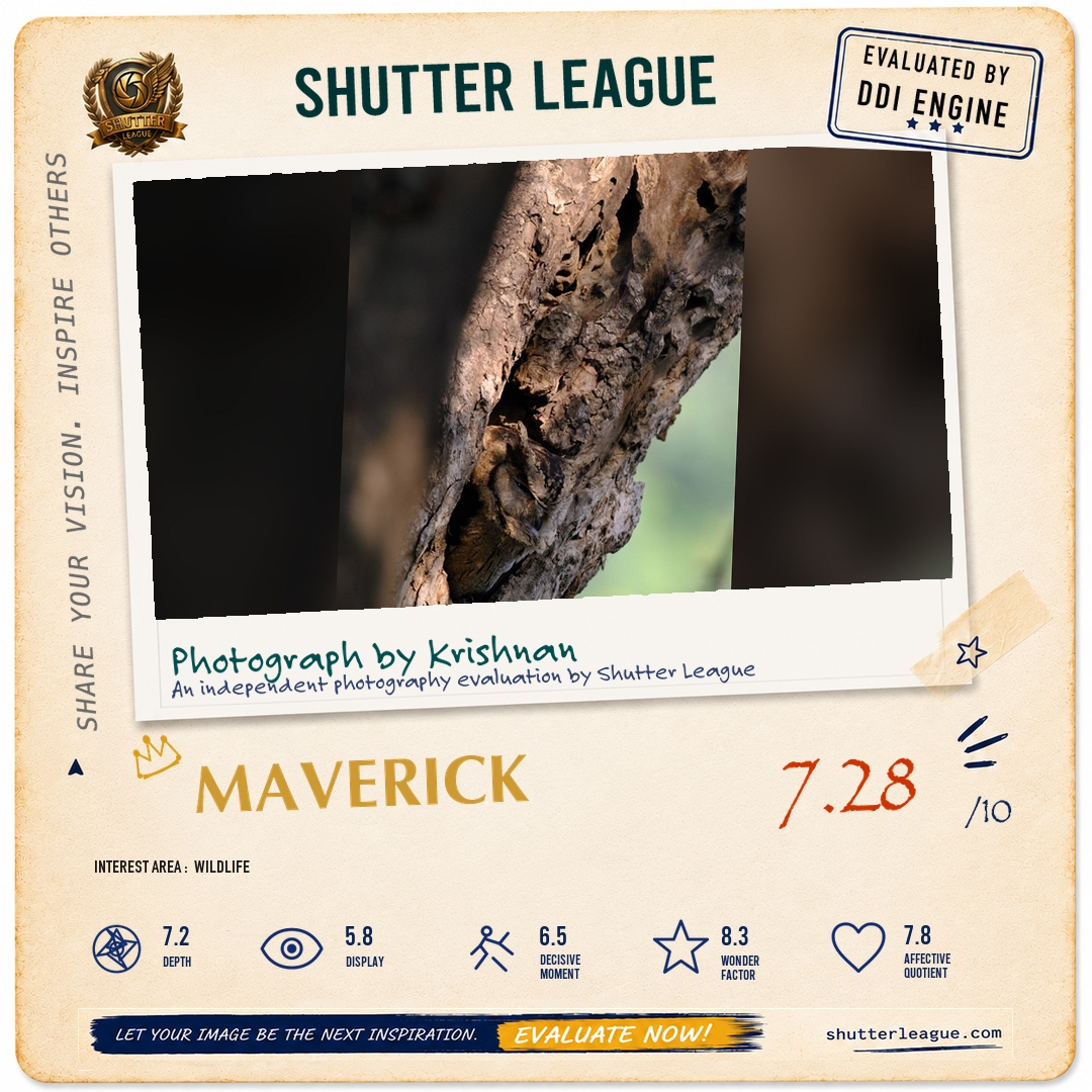 Shutter League evaluation card — Hidden