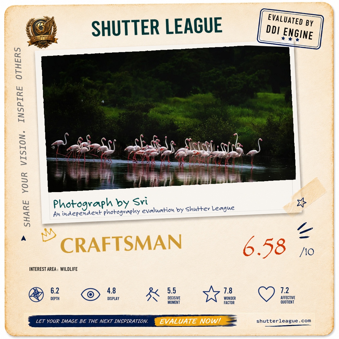 Shutter League evaluation card — Flight Instructions