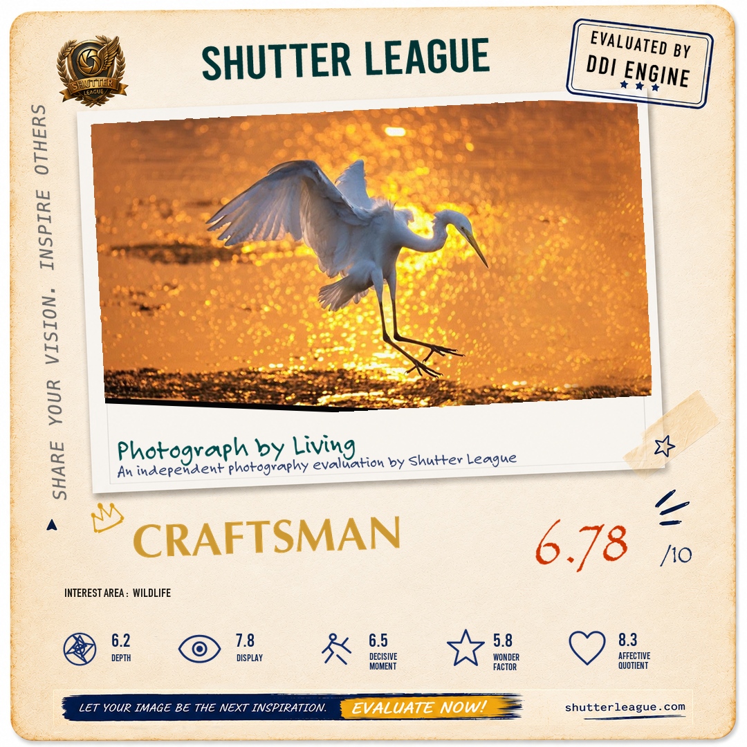 Shutter League evaluation card — Golden Light