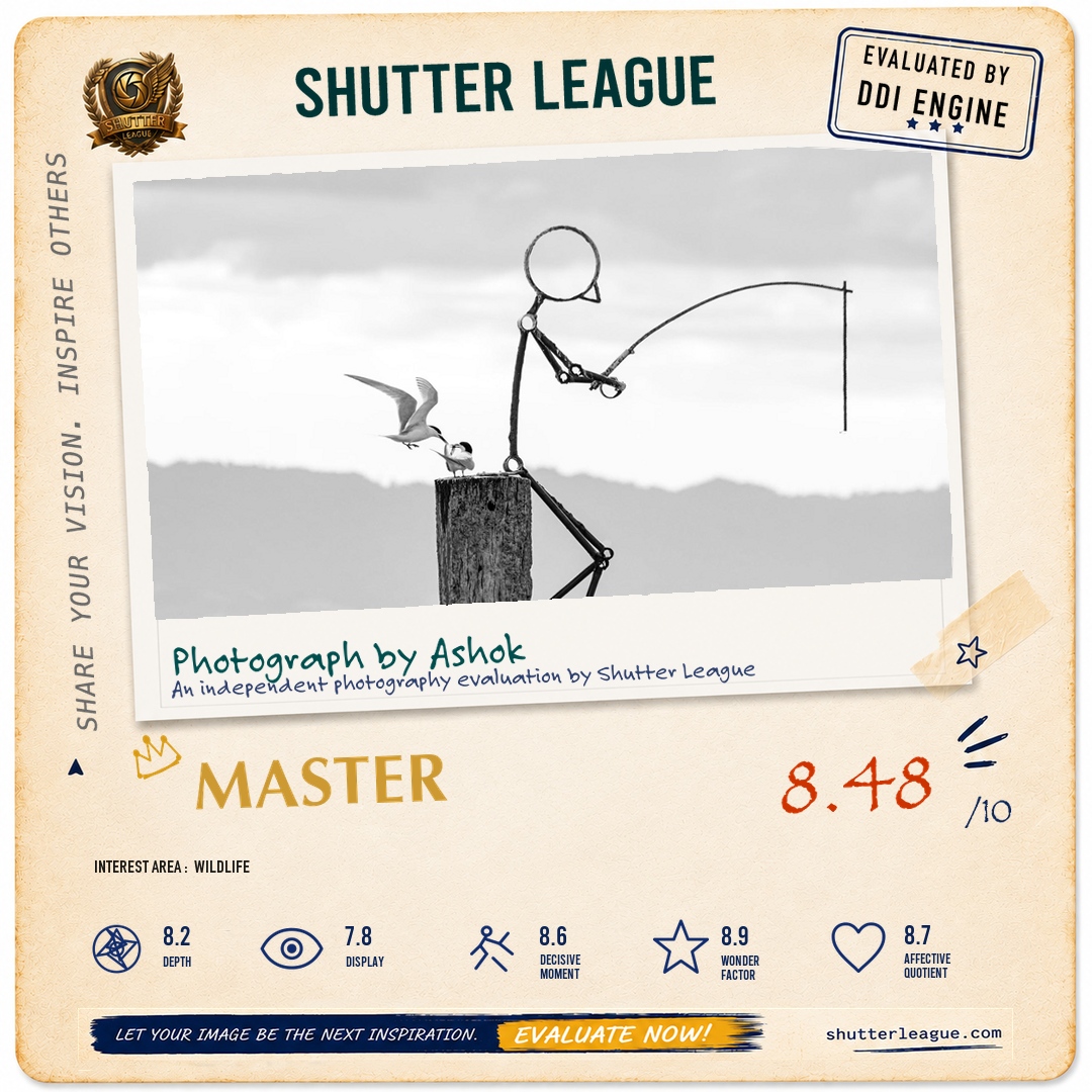 Shutter League evaluation card — Everyones fishing