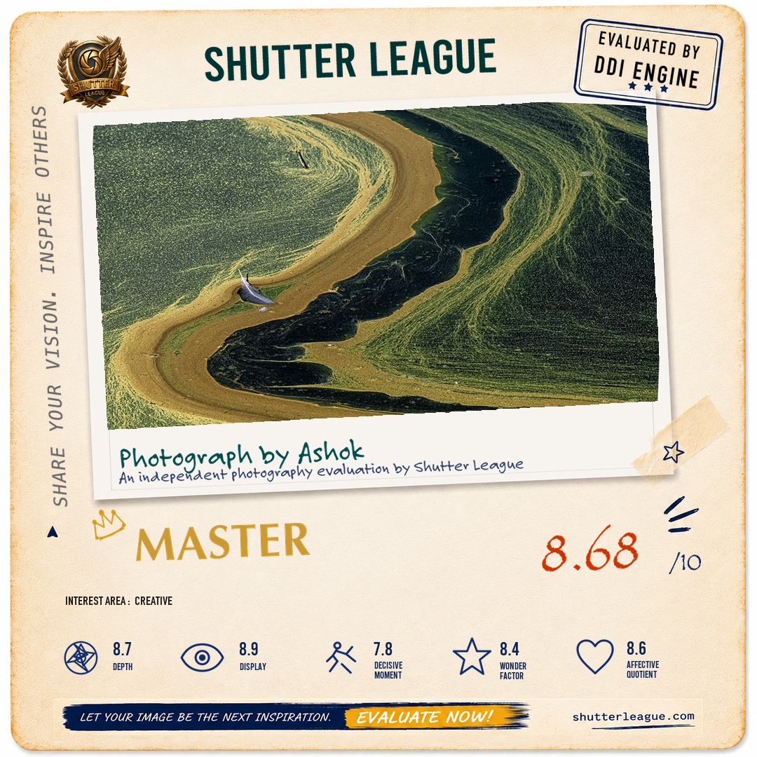 Shutter League evaluation card — Algal