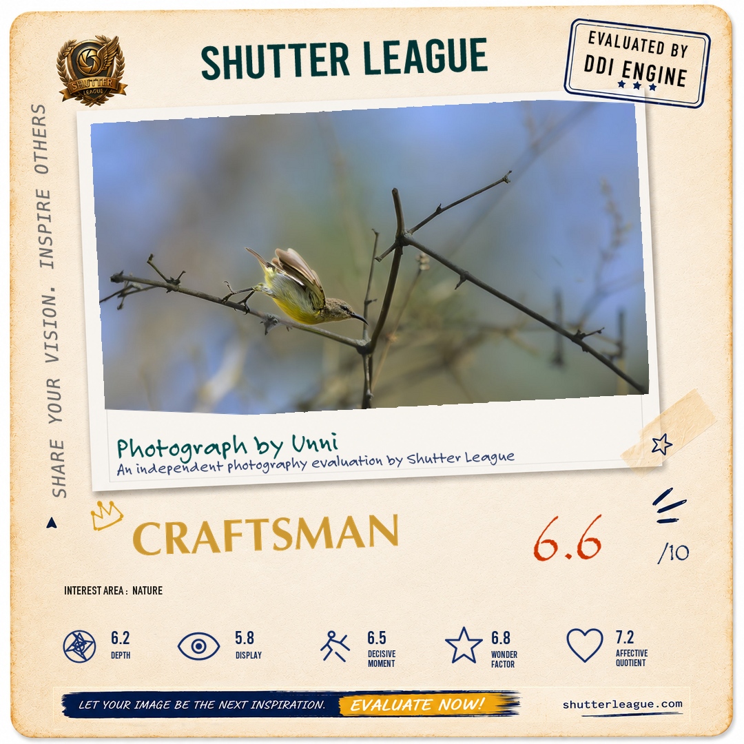Shutter League evaluation card — Sunbird