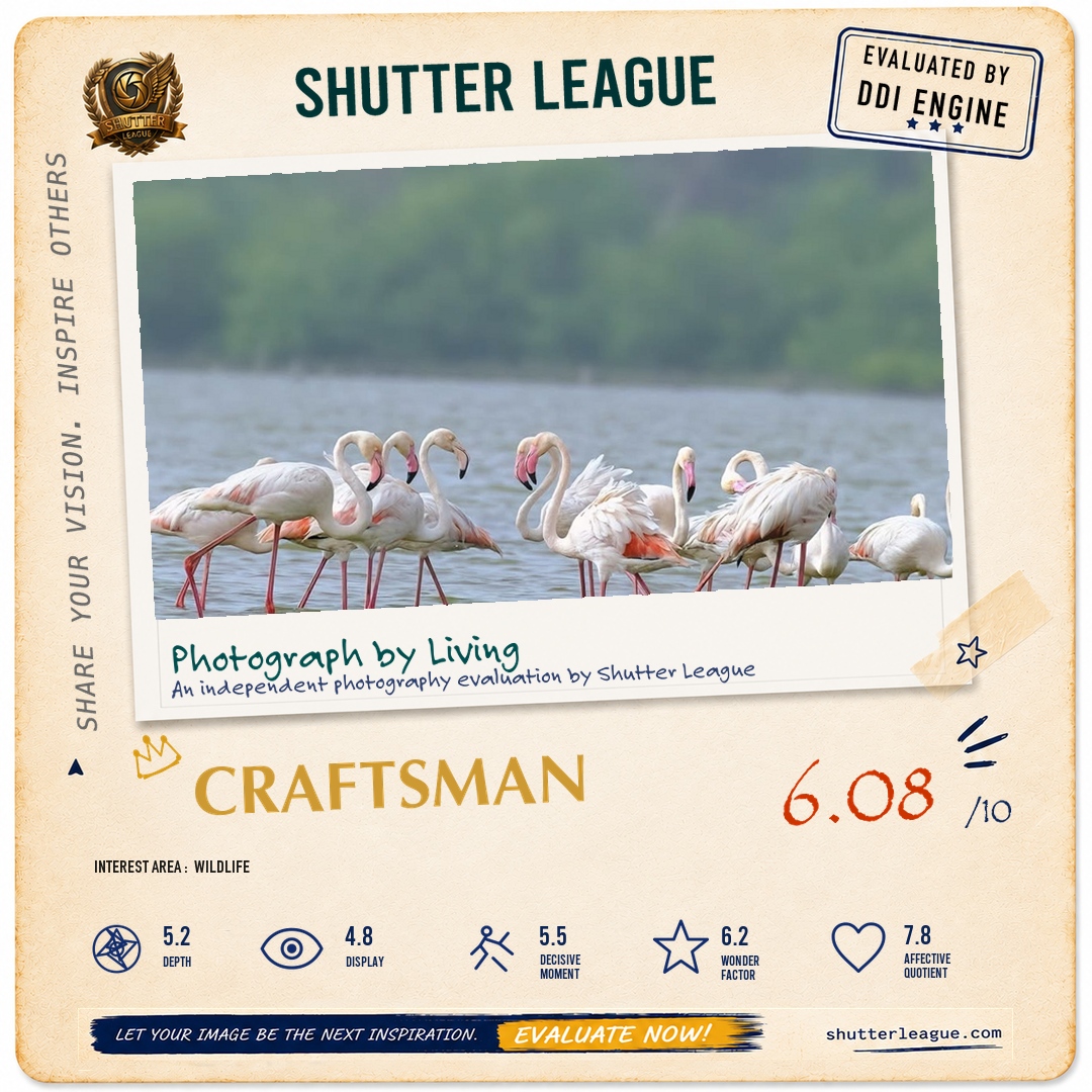 Shutter League evaluation card — The Meeting