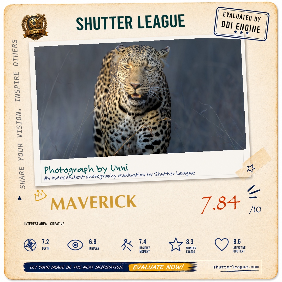 Shutter League evaluation card — HeadON