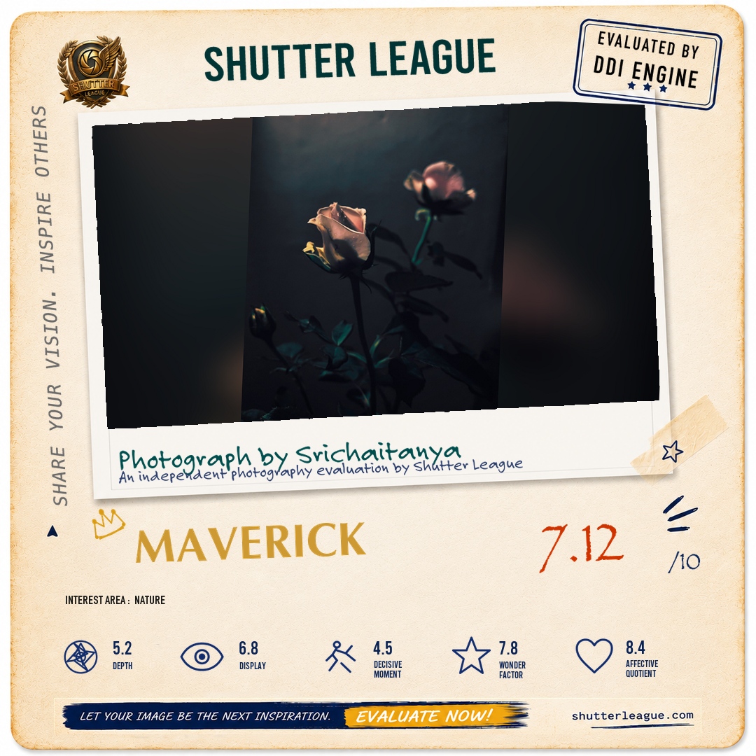 Shutter League evaluation card — Roses in the night