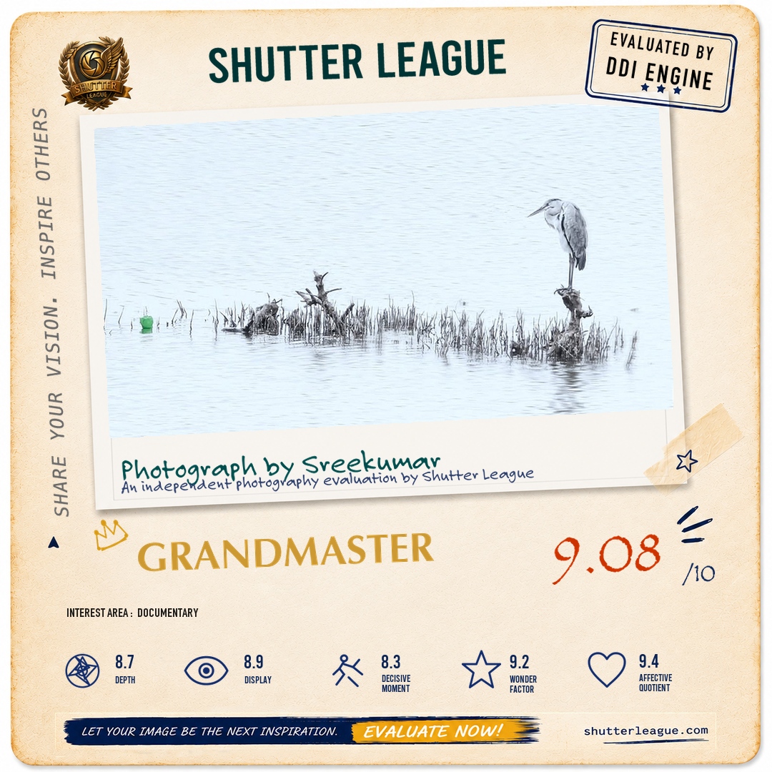 Shutter League evaluation card — The Green Plastic Bottle