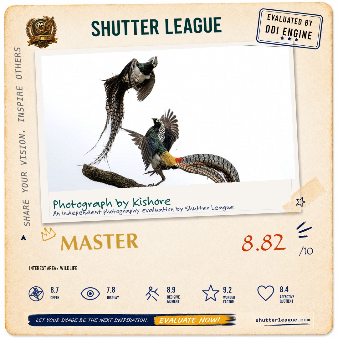 Shutter League evaluation card — The Amhersts aerial combat