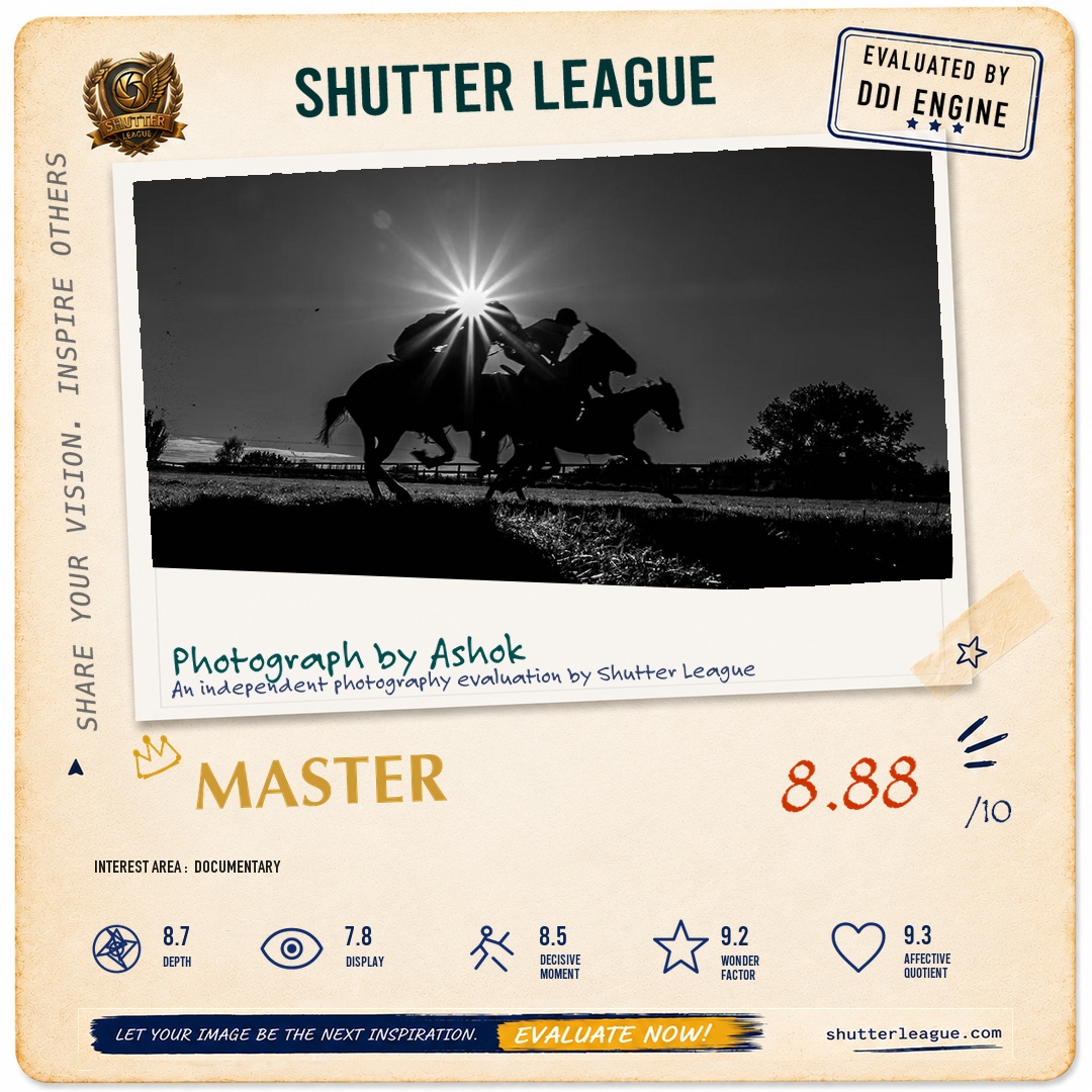 Shutter League evaluation card — Horse racing