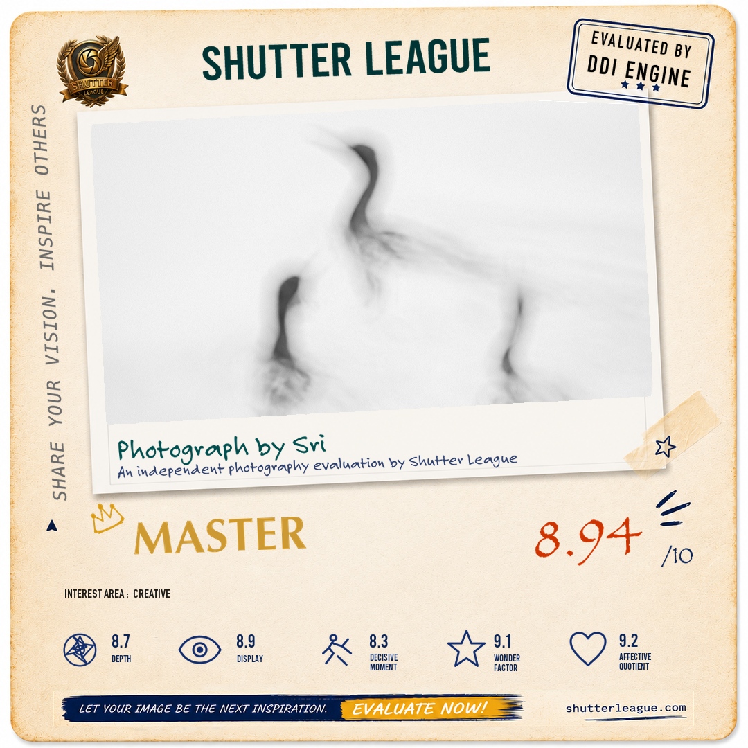 Shutter League evaluation card — Cormorants at Ulsoor