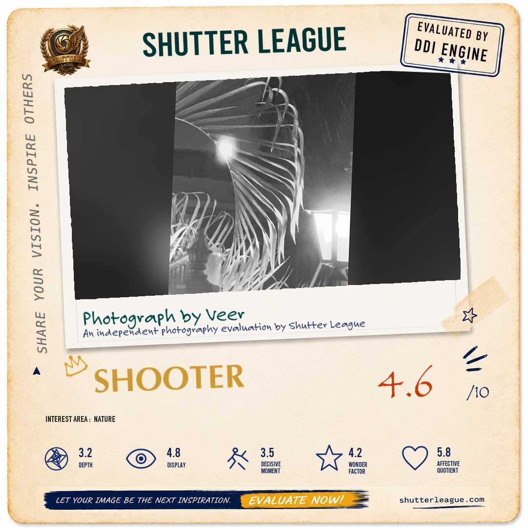 Shutter League evaluation card — Night shot garden