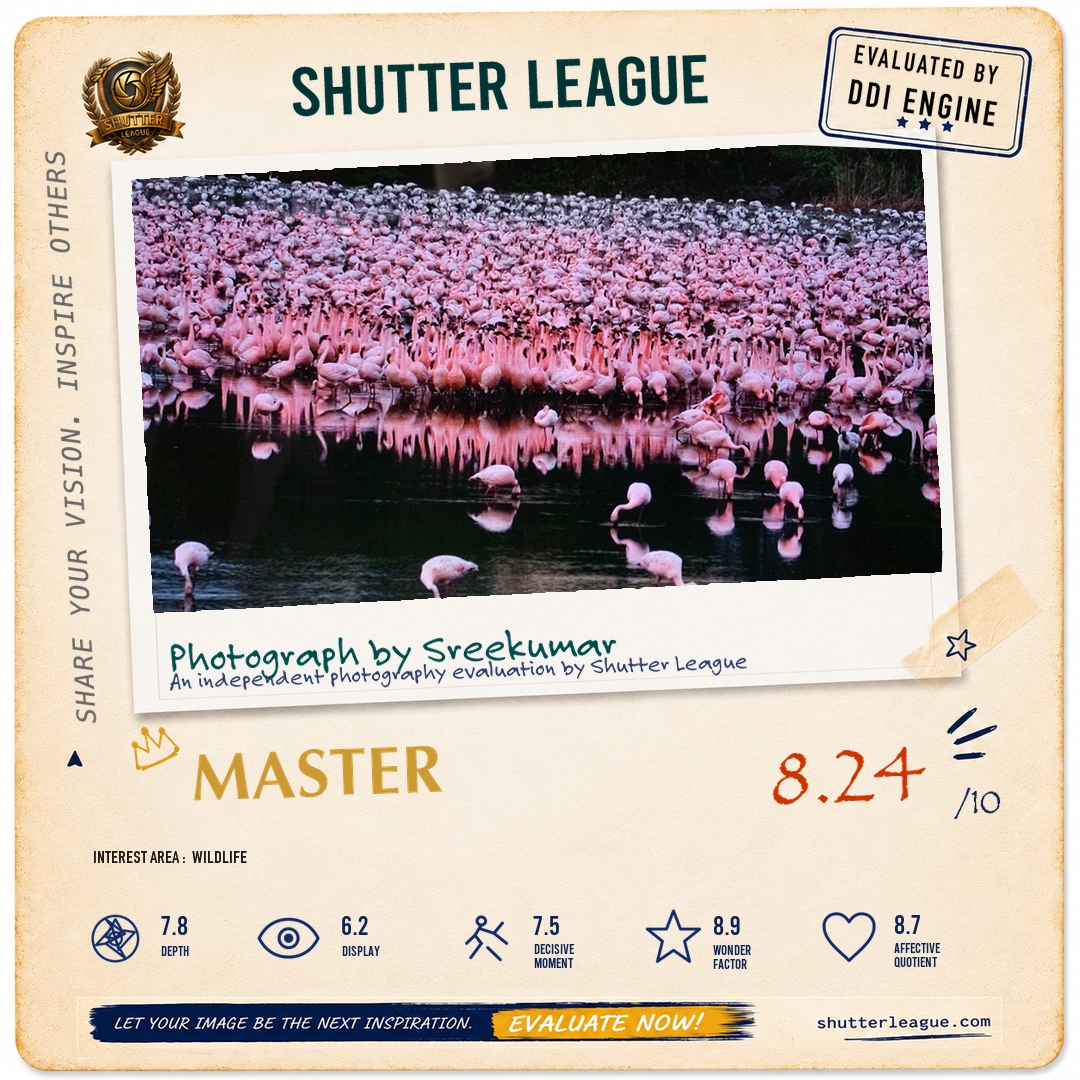 Shutter League evaluation card — Courtship at play