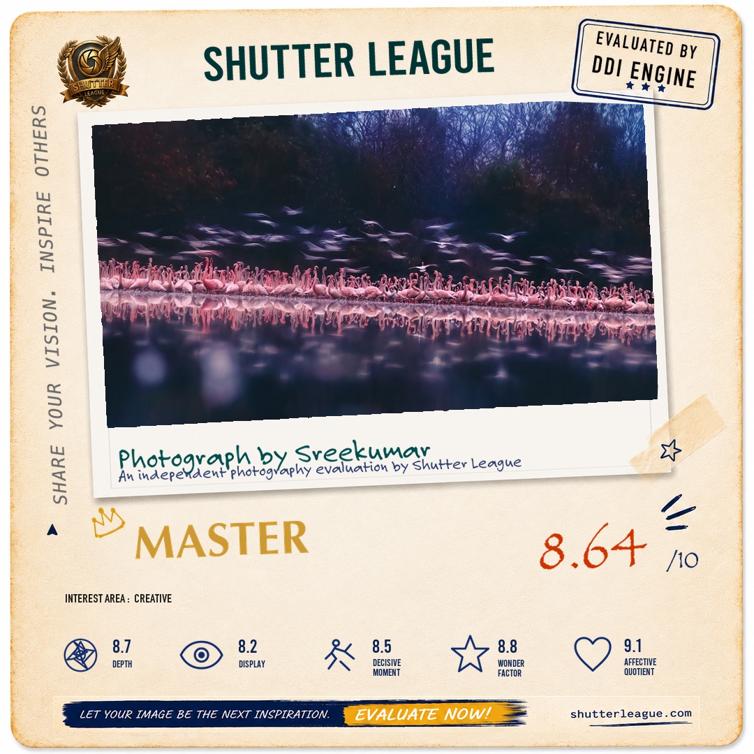Shutter League evaluation card — Flamingos taking off from DPS Lake Navi Mumbai