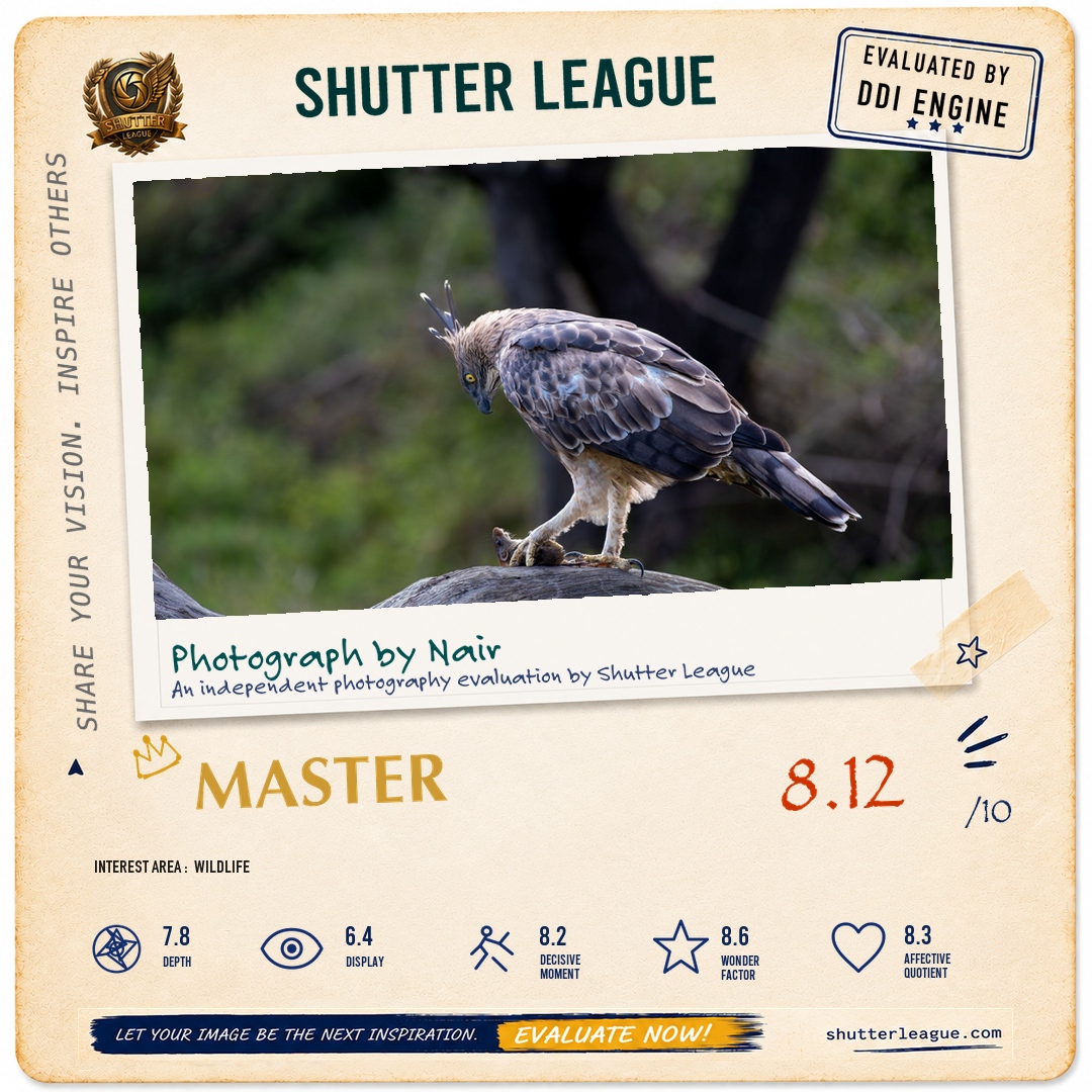 Shutter League evaluation card — Eye to eye. Predator and the prey