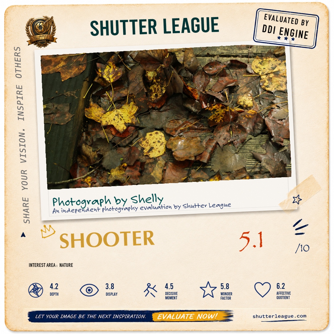 Shutter League evaluation card — Autumn
