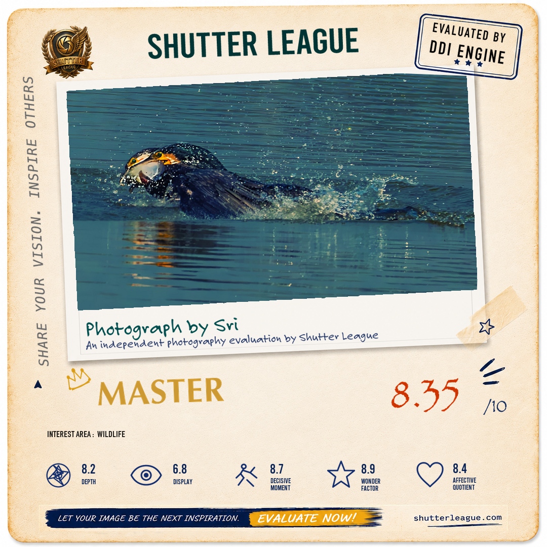 Shutter League evaluation card — The Catch
