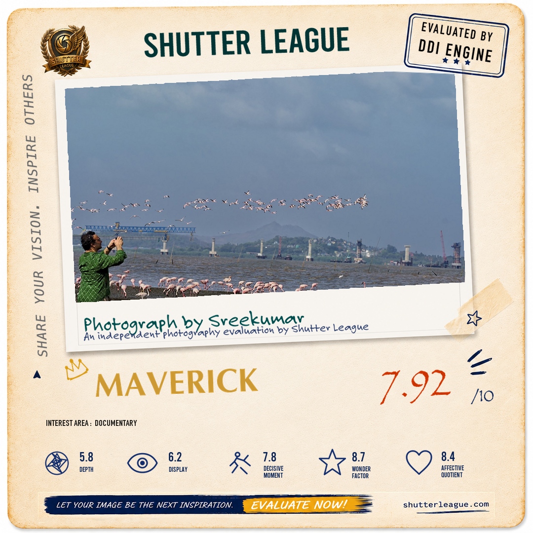 Shutter League evaluation card — Urban co existence