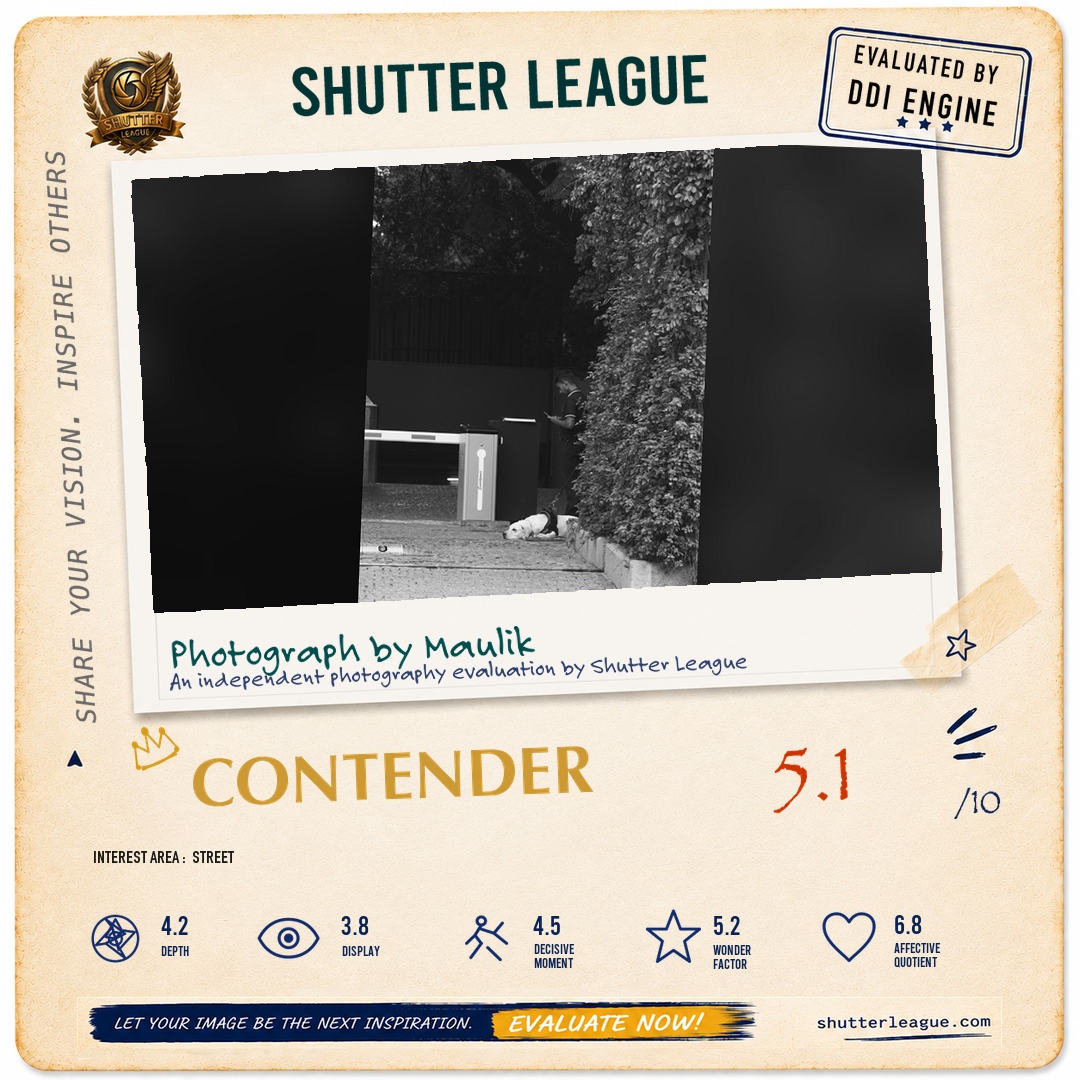 Shutter League evaluation card — Silence