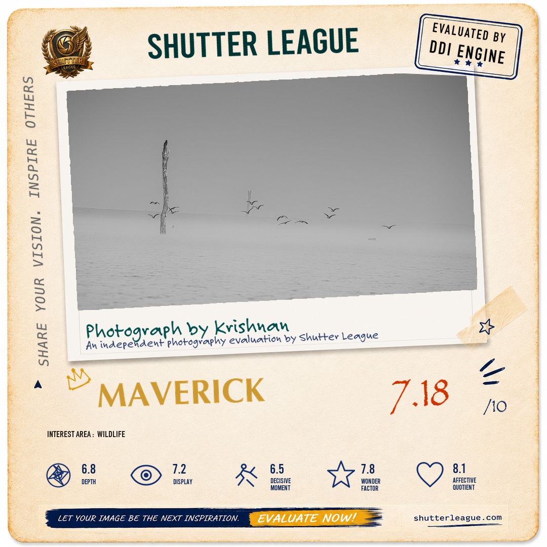 Shutter League evaluation card — Morning hours by Kabini