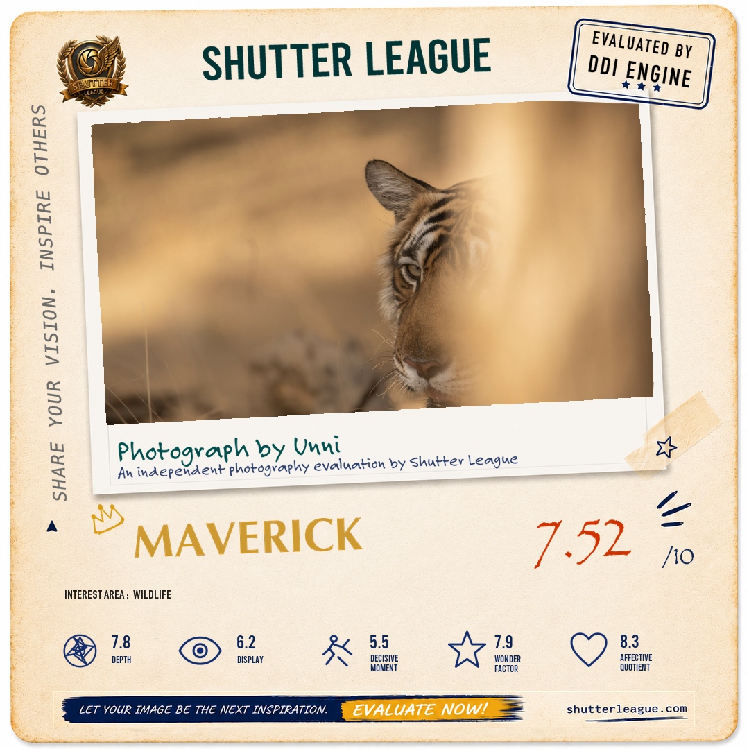 Shutter League evaluation card — Tiger