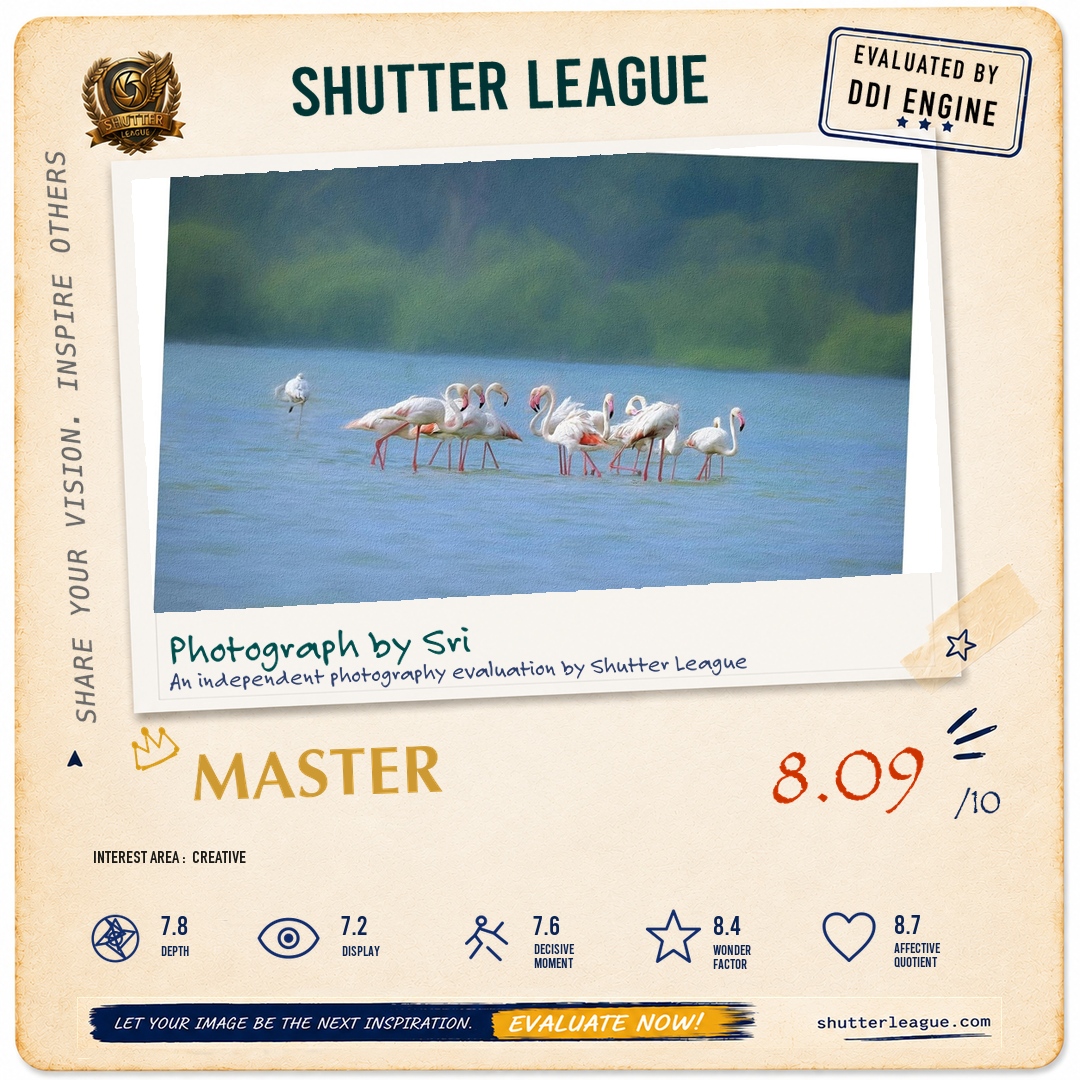 Shutter League evaluation card — Greater Flamingos huddle during the Baluchistan dust storm