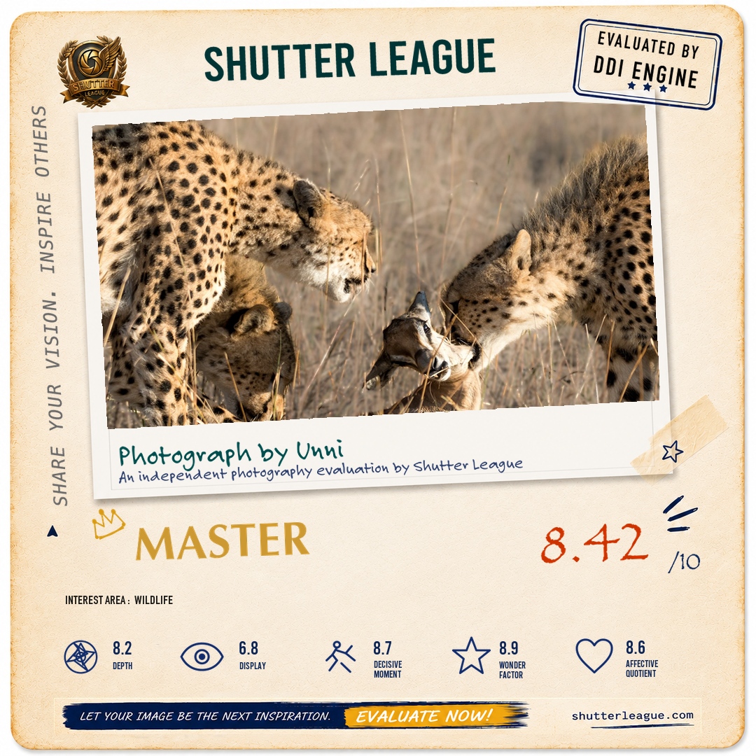 Shutter League evaluation card — Cheetah 🐆