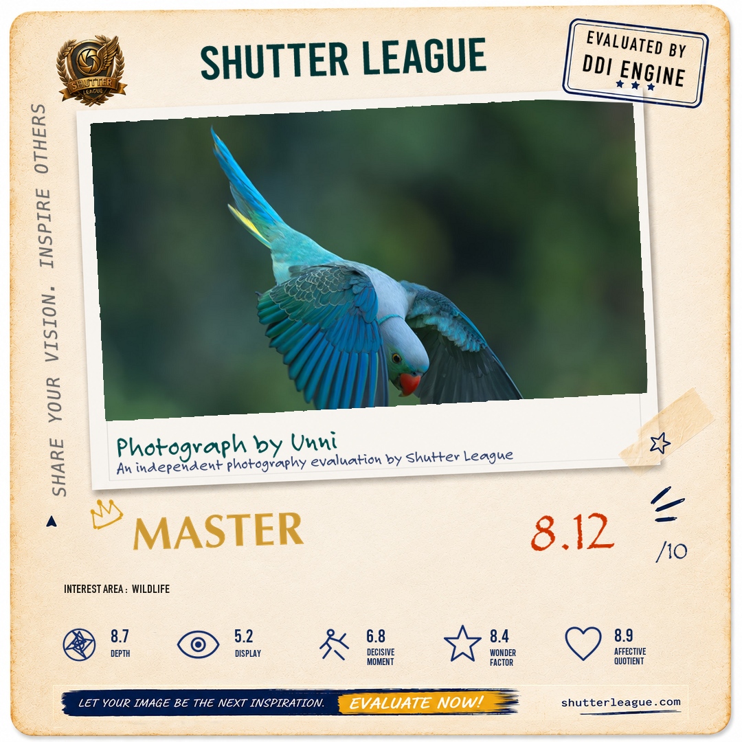 Shutter League evaluation card — Malabar Parakeet