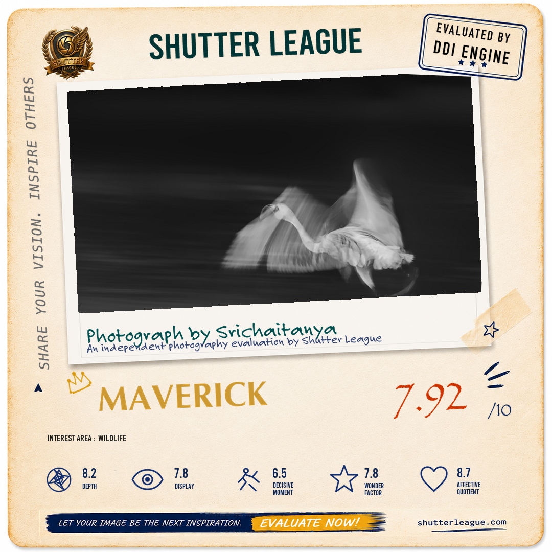 Shutter League evaluation card — Take off