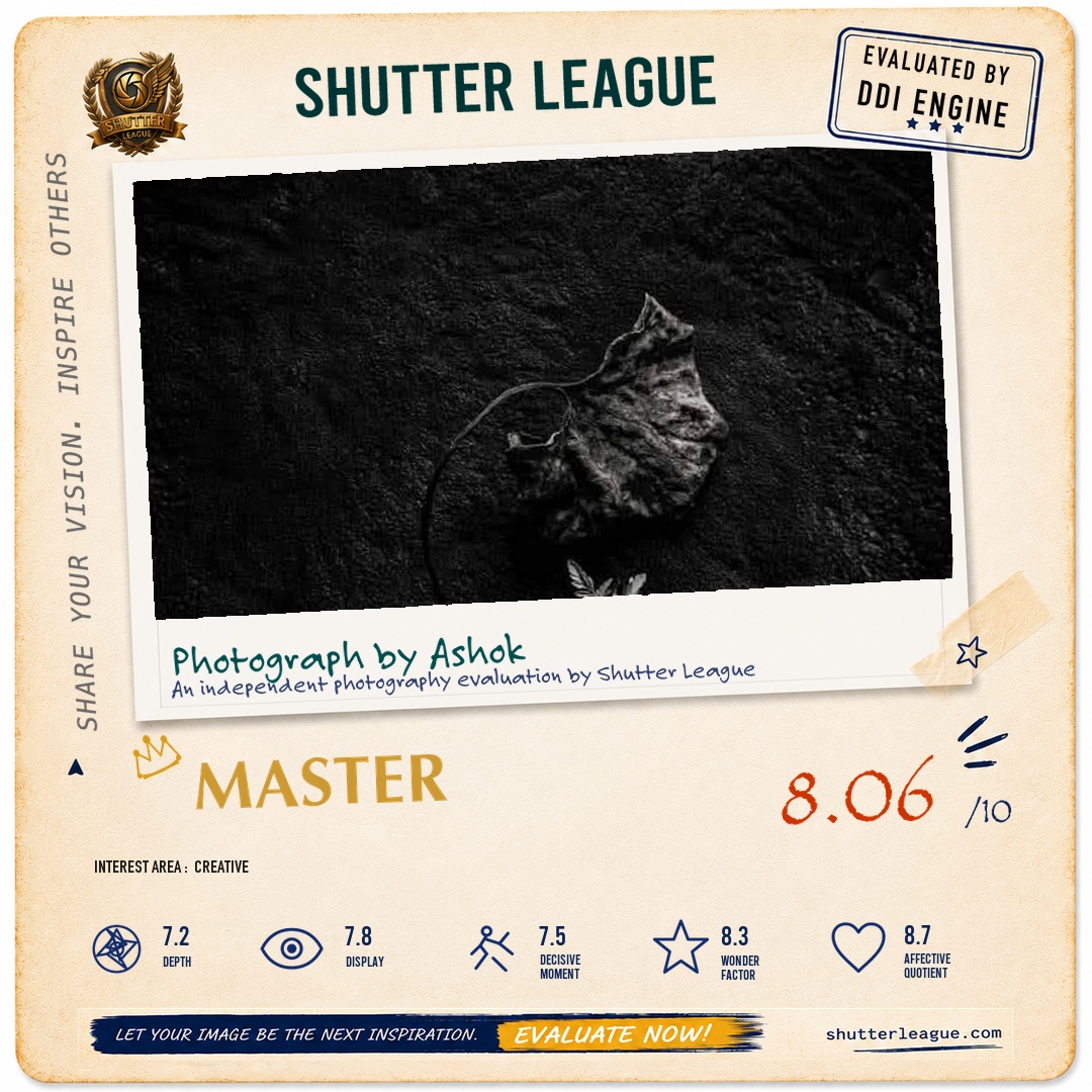 Shutter League evaluation card — Dispersed