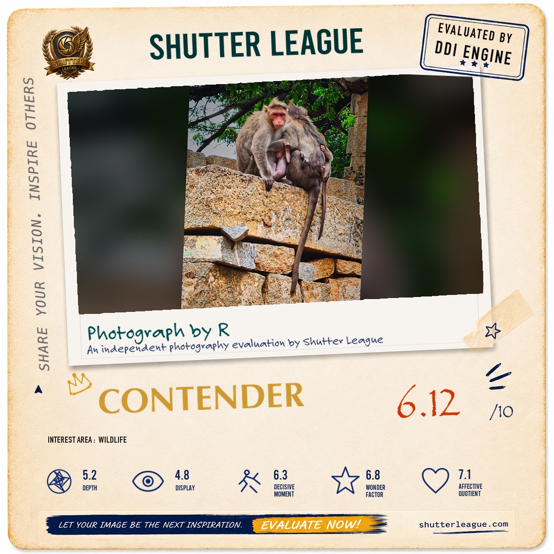 Shutter League evaluation card — FAMILY HUG