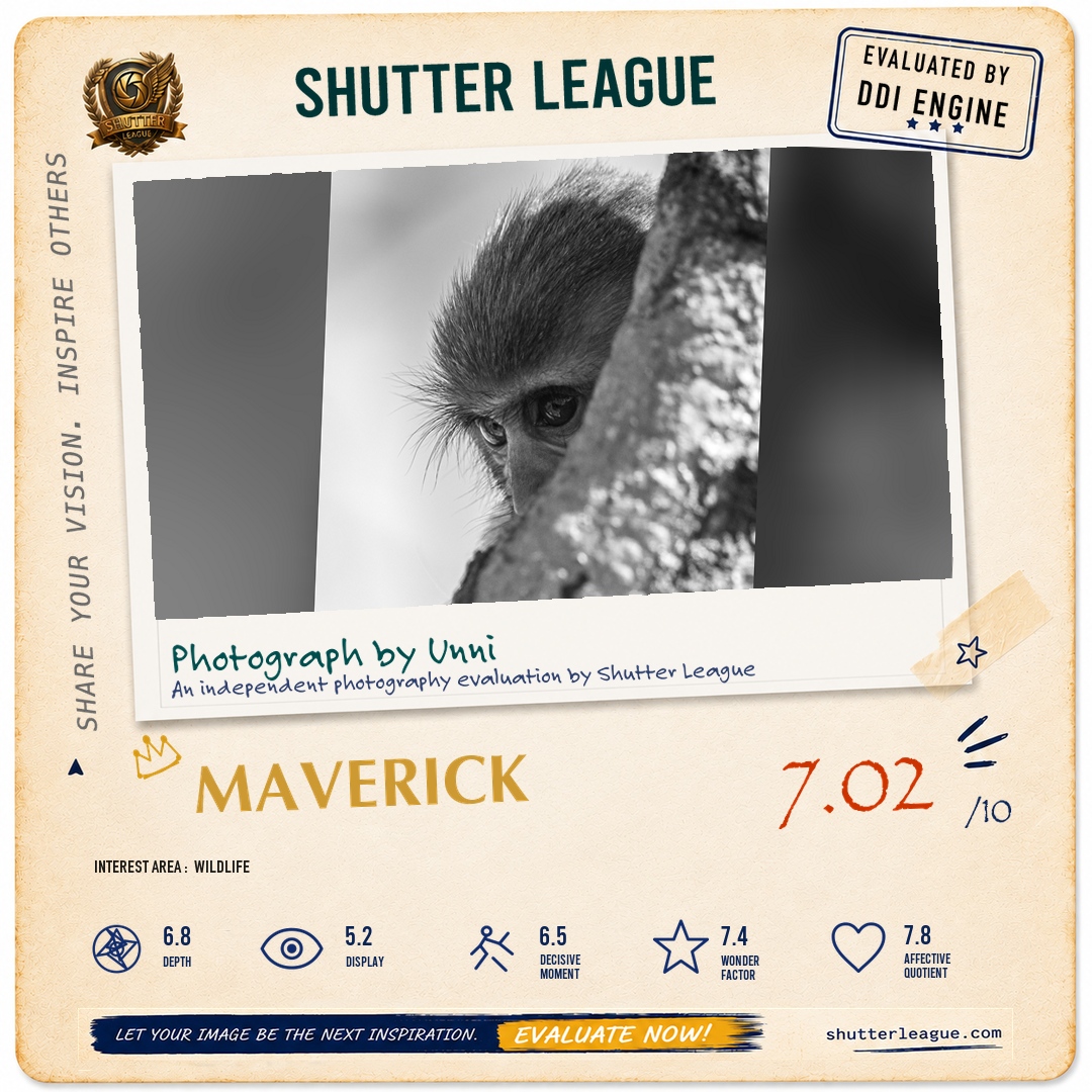 Shutter League evaluation card — Portrait