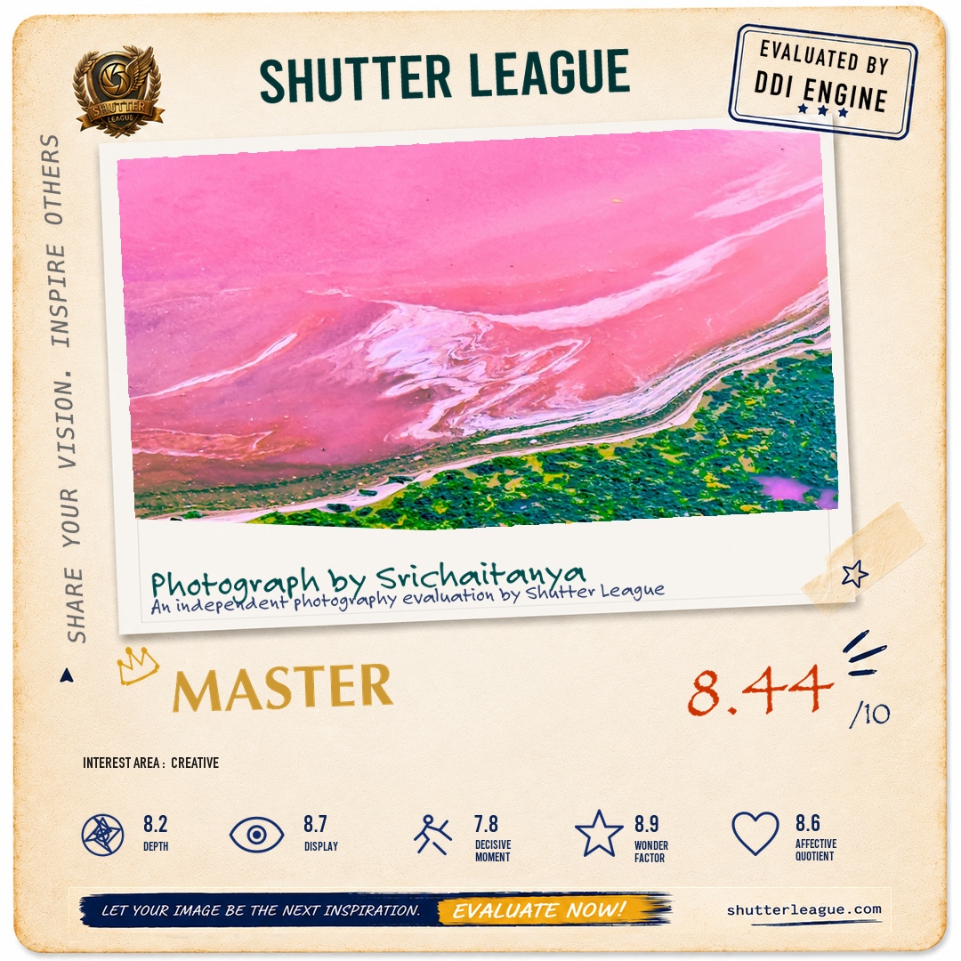 Shutter League evaluation card — Pink Algae