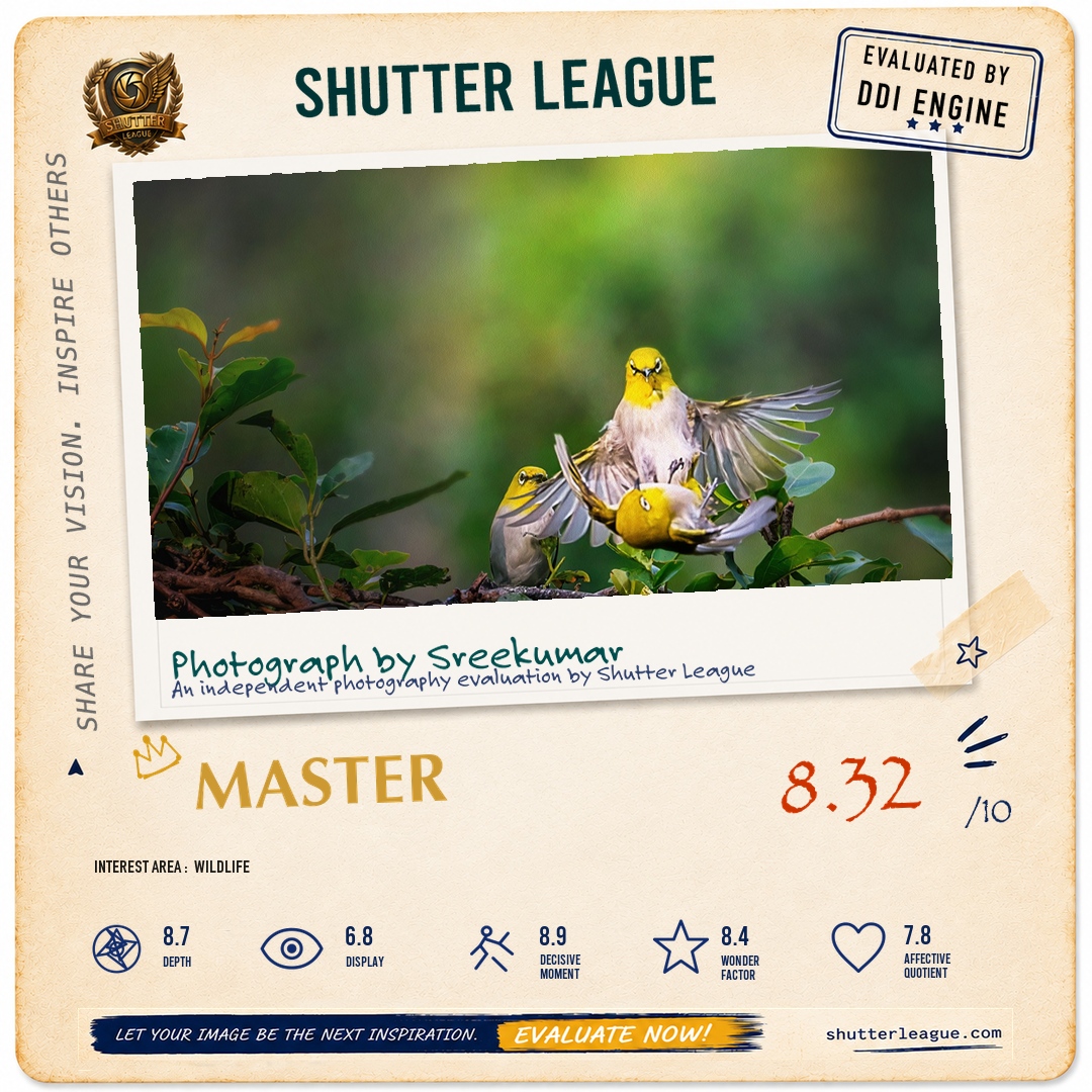 Shutter League evaluation card — Attack