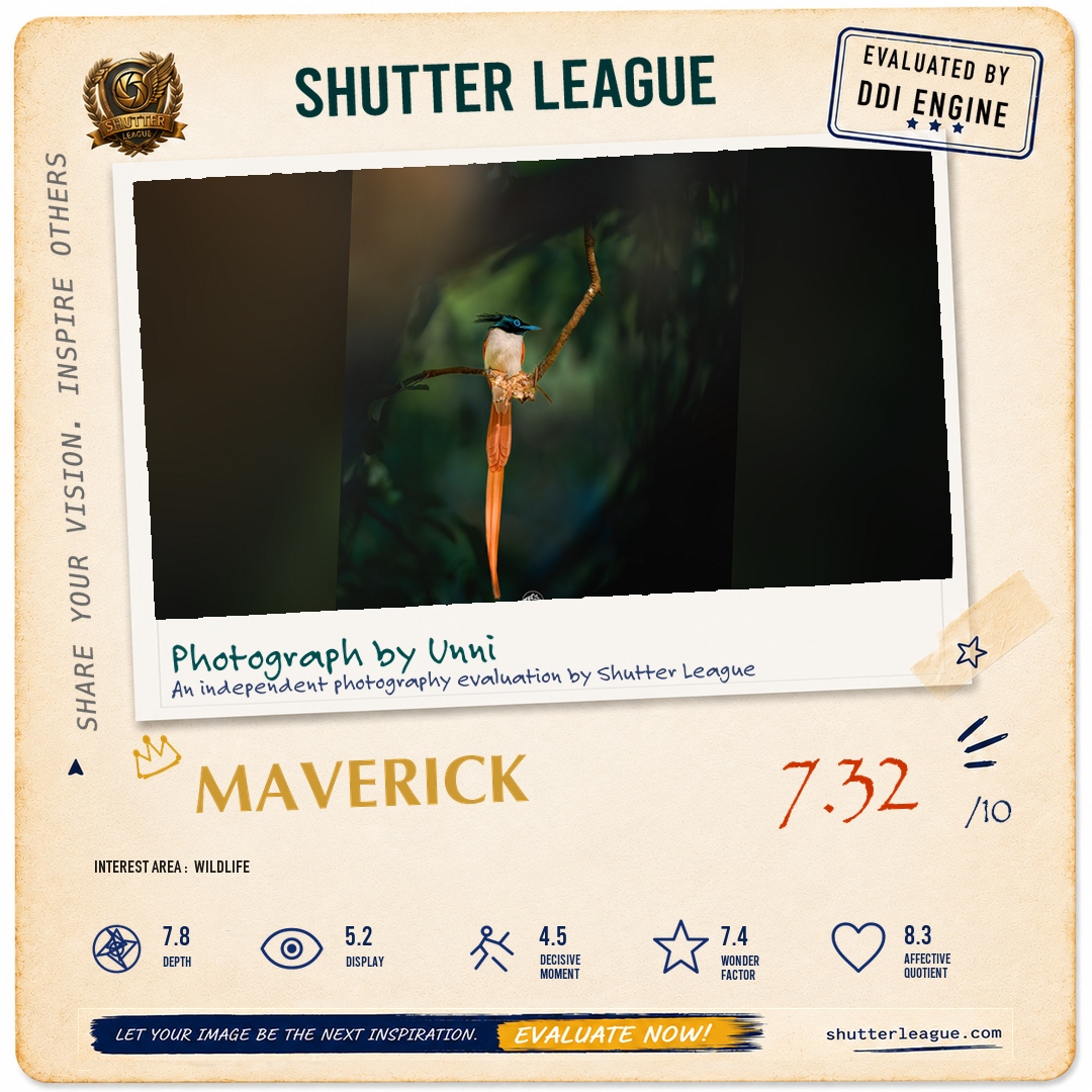 Shutter League evaluation card — Golden Hour Banidpur