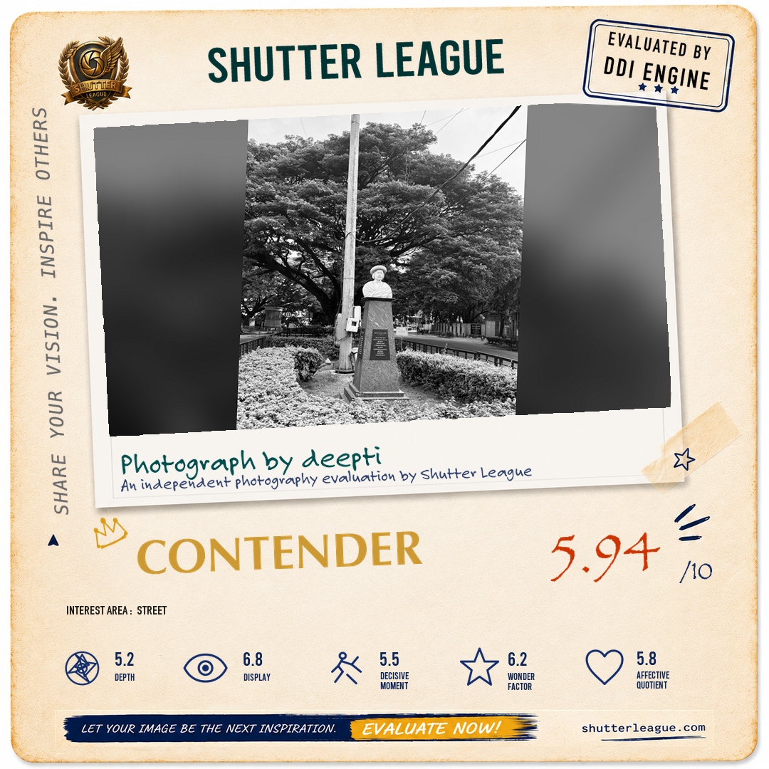 Shutter League evaluation card — Street in stone silence
