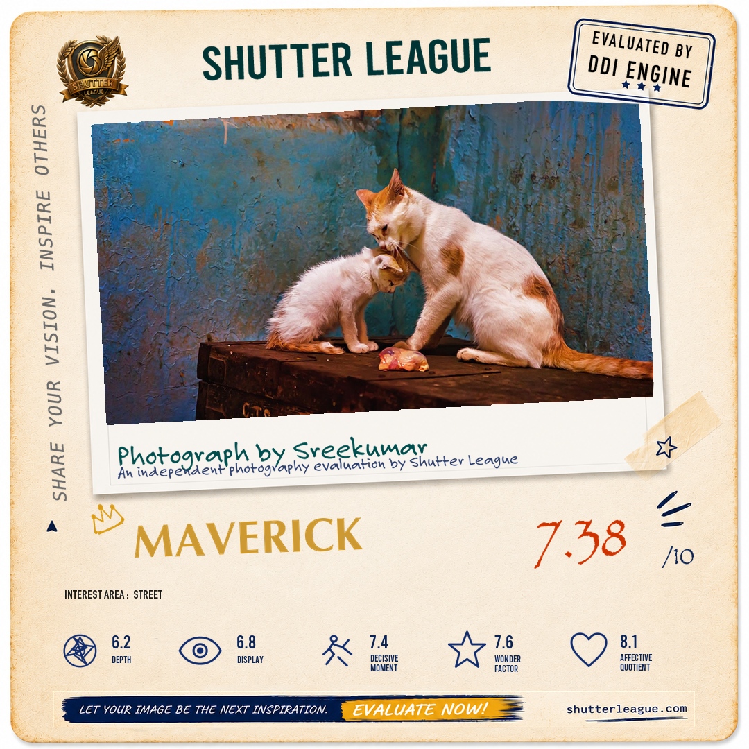 Shutter League evaluation card — Love in the Meat house