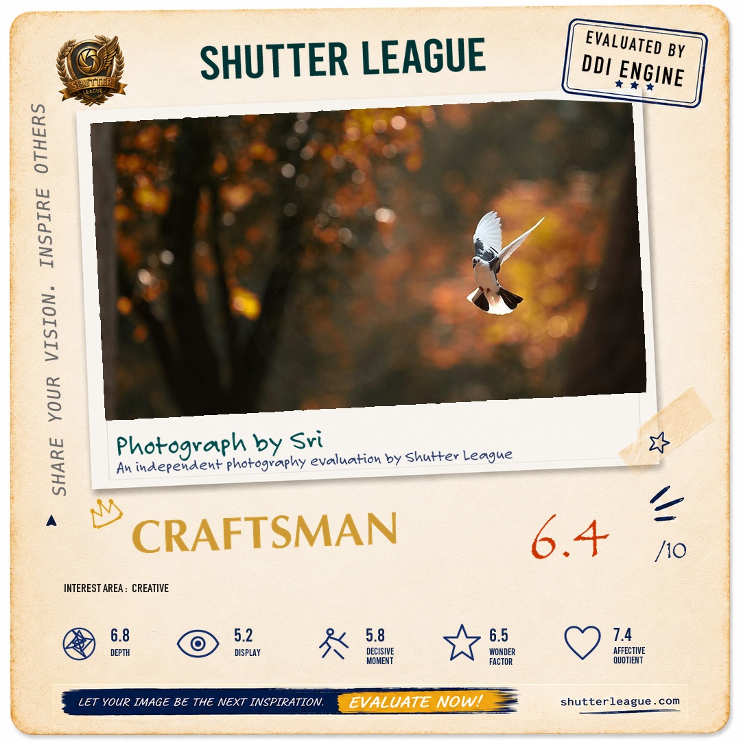 Shutter League evaluation card — White Dove