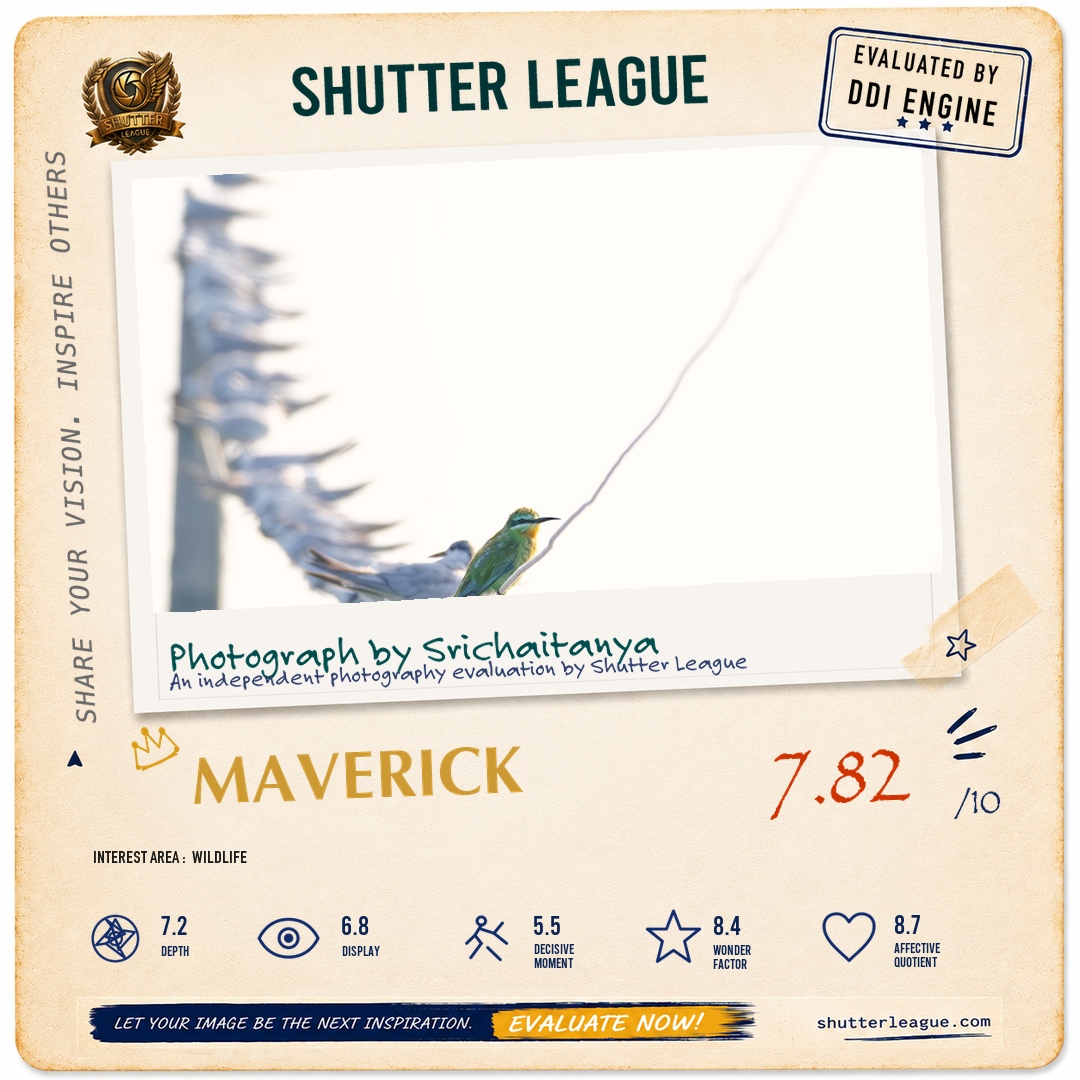 Shutter League evaluation card — Standing out