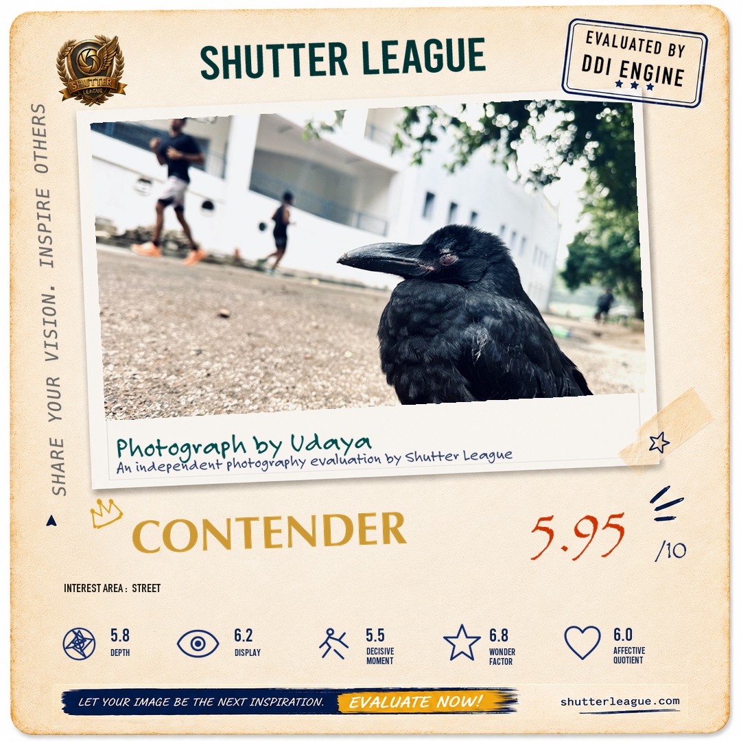Shutter League evaluation card — A Silent Crow