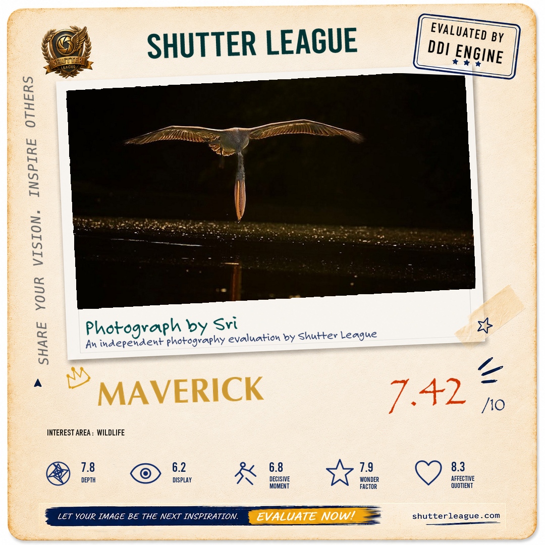 Shutter League evaluation card — The Dip