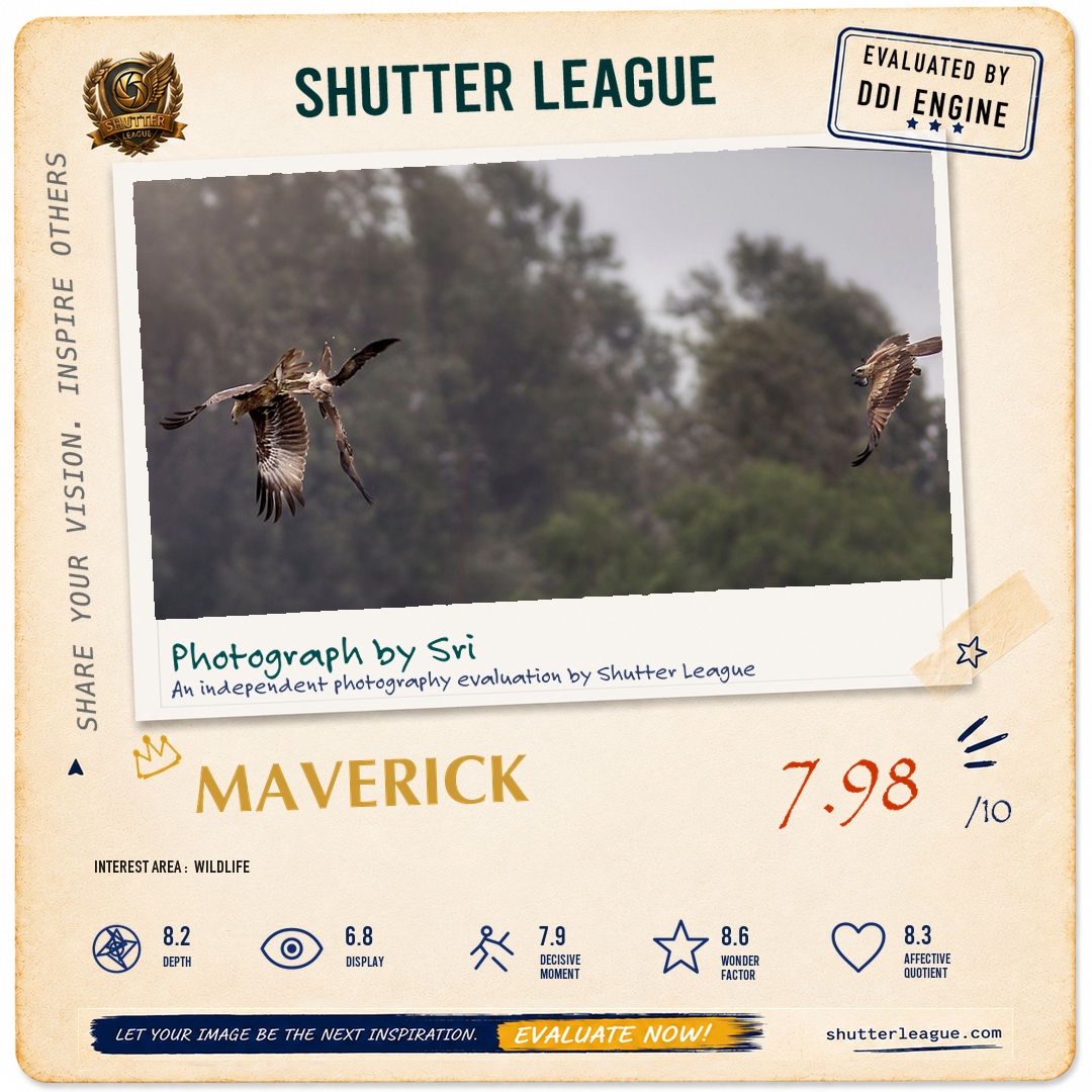 Shutter League evaluation card — Where eagles dare