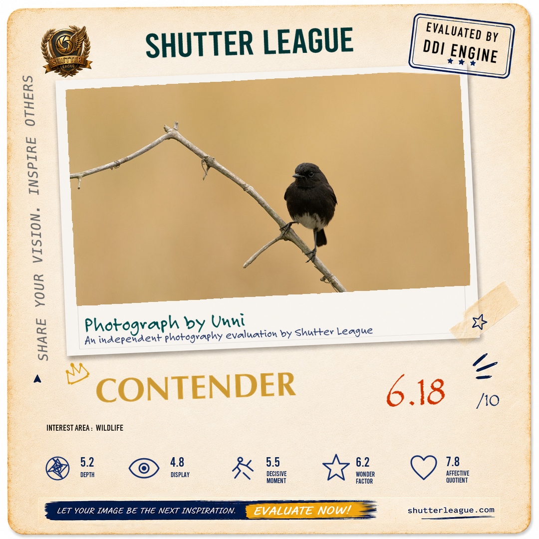 Shutter League evaluation card — Bush Chat
