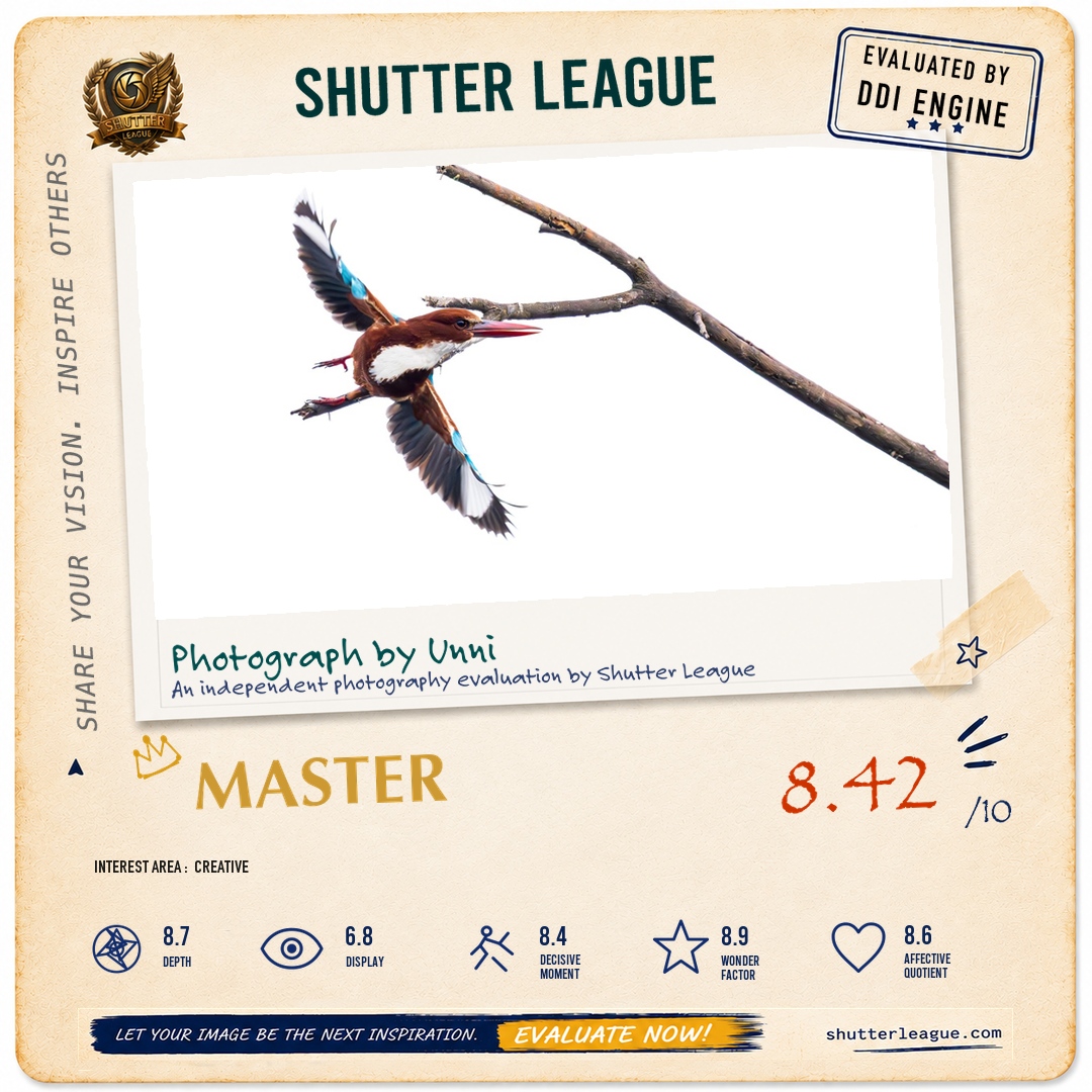 Shutter League evaluation card — Kingfisher