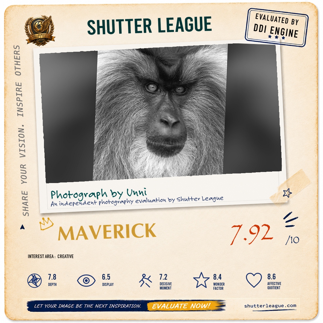 Shutter League evaluation card — LTM