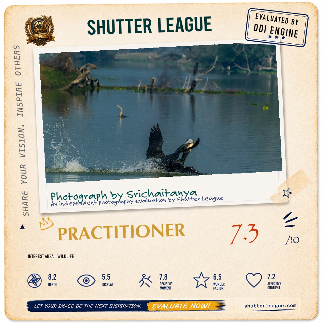 Shutter League evaluation card — Cormorants