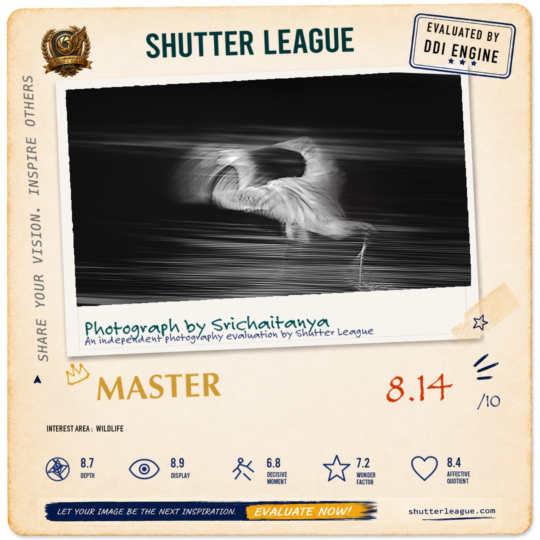 Shutter League evaluation card — Flamingo takes off