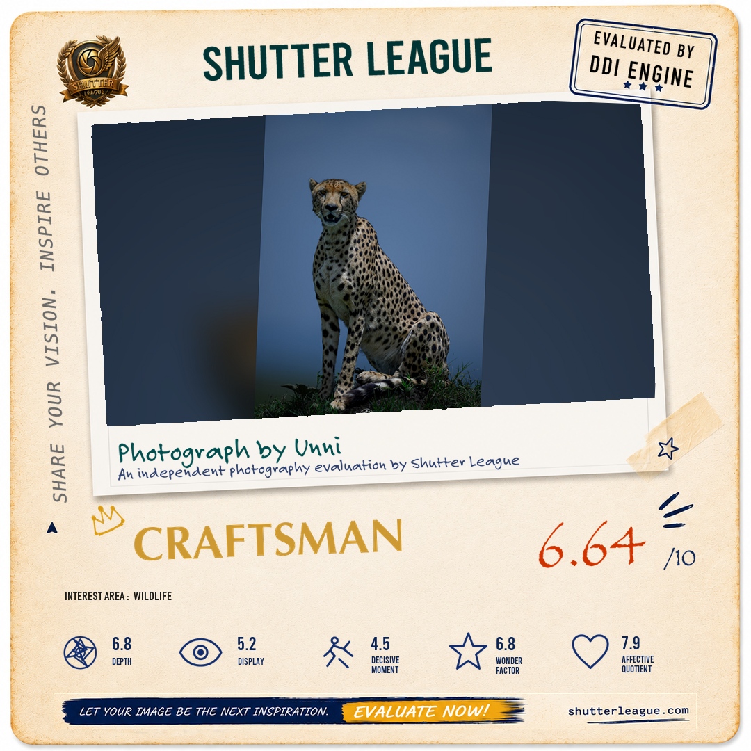 Shutter League evaluation card — Solo Cheetah
