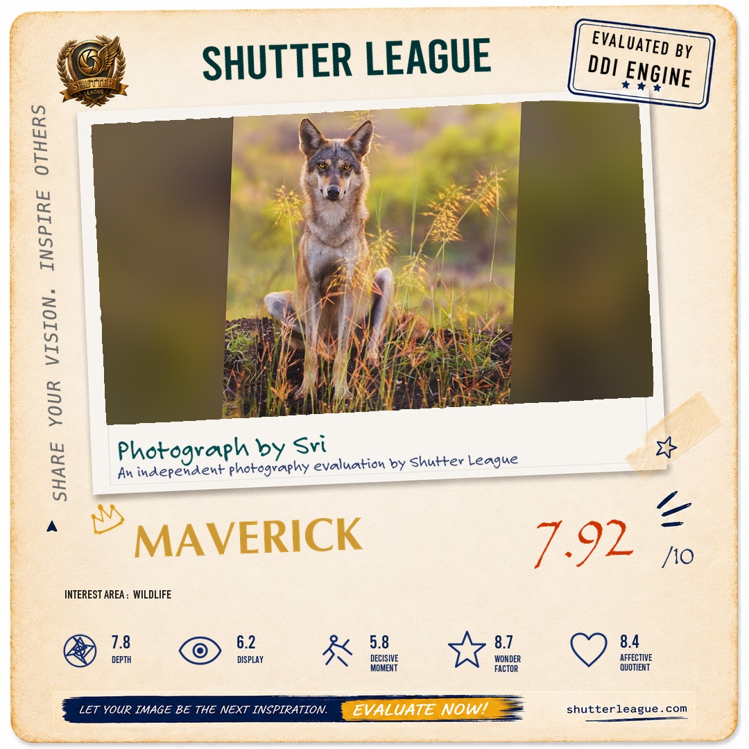 Shutter League evaluation card — The Lone Wolf